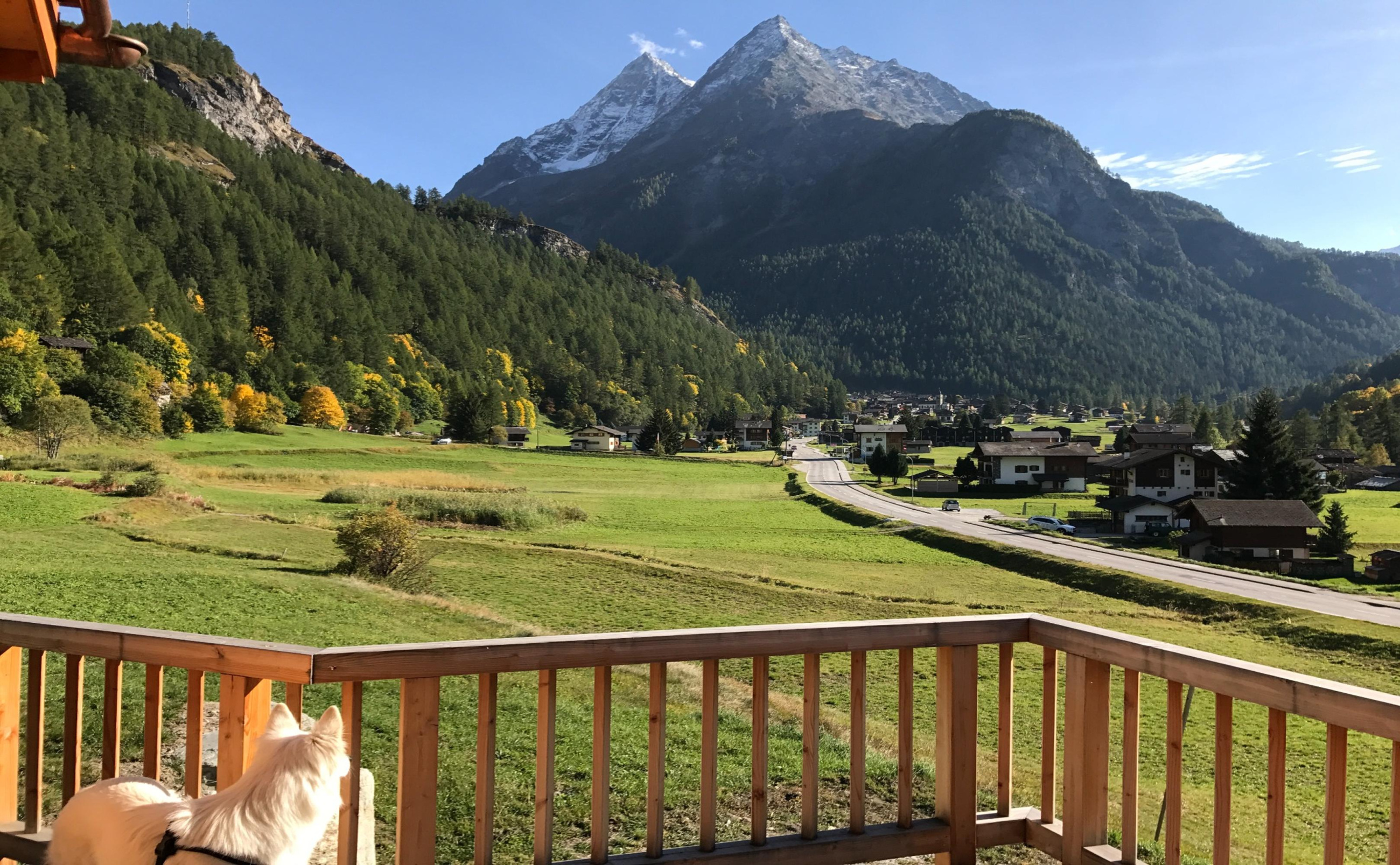 Vue sur les prés depuis une terrasse